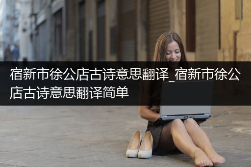 宿新市徐公店古诗意思翻译_宿新市徐公店古诗意思翻译简单